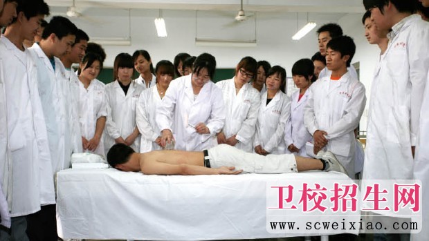 中醫學專業介紹