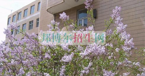 山西國際商務職業學院招生辦聯系電話