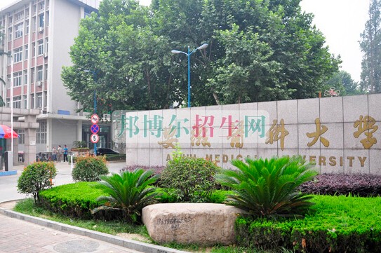安徽醫科大學
