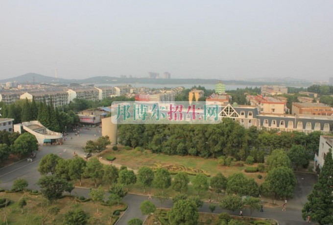安徽財經大學商學院網站網址