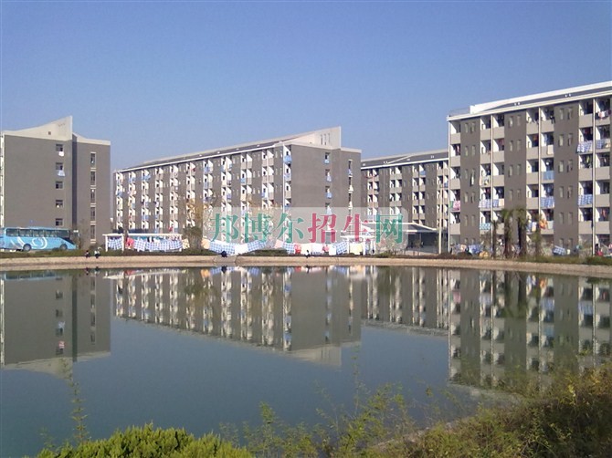 安徽涉外經濟職業學院網站網址