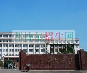 山東科技大學泰山科技學院招生辦聯系電話
