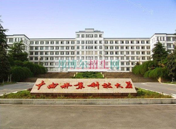 軟件技術好找工作嗎