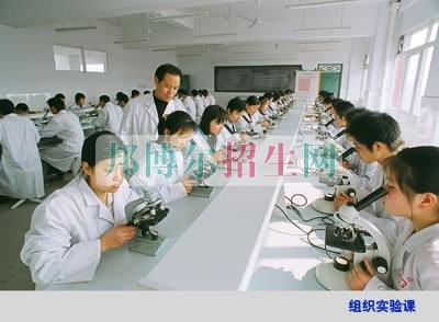 關于護理的大專學校