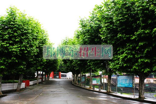 哪個大專學校海乘海員好