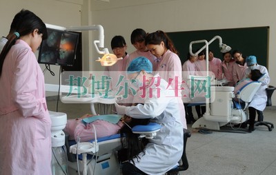 高中畢業讀口腔醫學