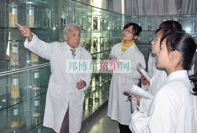 中專學中醫學有前途嗎