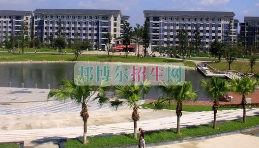成都計算機應用技術(shù)開始招生了嗎