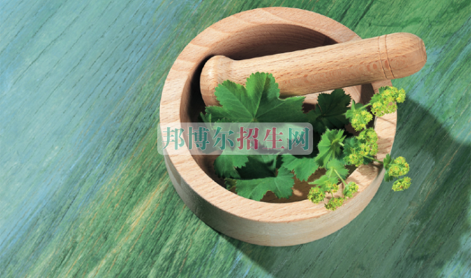 成都哪些大專有中醫學