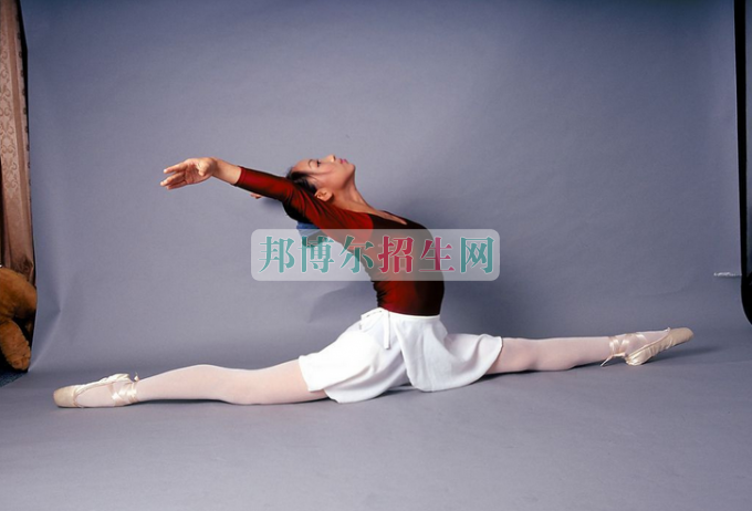 成都哪些高職院校有藝術教育