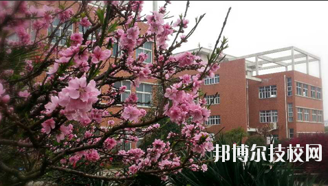 江西省醫藥學校6