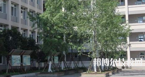 張掖市育才技工學校2020年招生錄取分數線