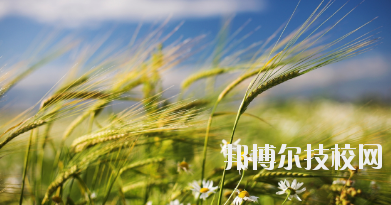 靖遠縣平堡職業技術中學2020年招生辦聯系電話
