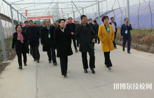 淳化職業教育中心2020年有哪些專業 