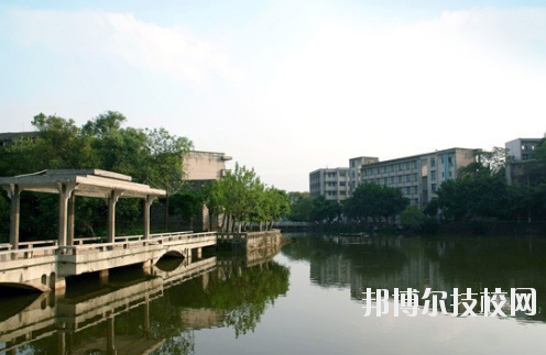 重慶紅春藤技工學校2020年報名條件、招生要求、招生對象