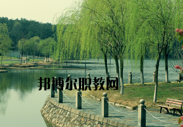 重慶計算機職業高級中學網站網址 