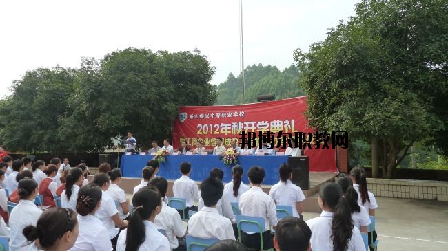 樂山市中區(qū)振興中等職業(yè)學校網站網址