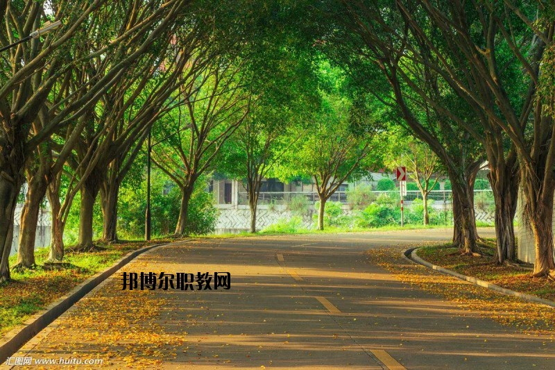 仙桃金園職業(yè)高級(jí)中學(xué)2020年報(bào)名條件、招生要求、招生對象