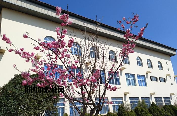 威信縣職業高級中學2020年有哪些專業