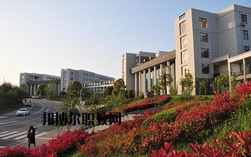 廣水職業技術教育中心網站網址