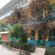 西安武術職業學校