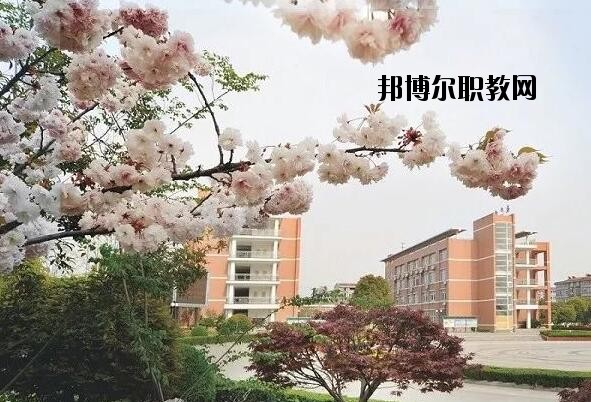 桐鄉衛生學校2020年報名條件、招生要求、招生對象