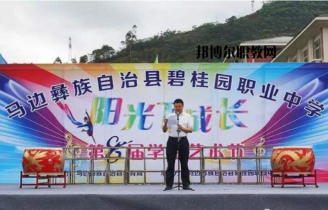 馬邊彝族自治縣碧桂園職業中學網站網址