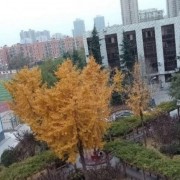 鄭州財貿學校