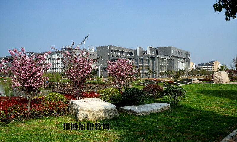 中國藥科大學2020年招生辦聯系電話