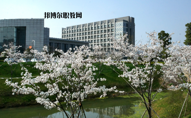 中國藥科大學(xué)2020年報(bào)名條件、招生要求、招生對象