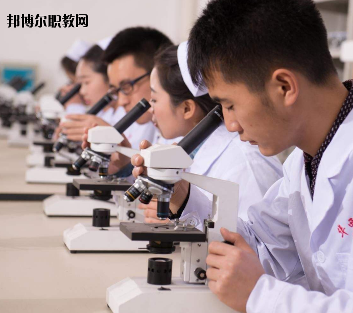 焦作護理學校怎么樣、好不好