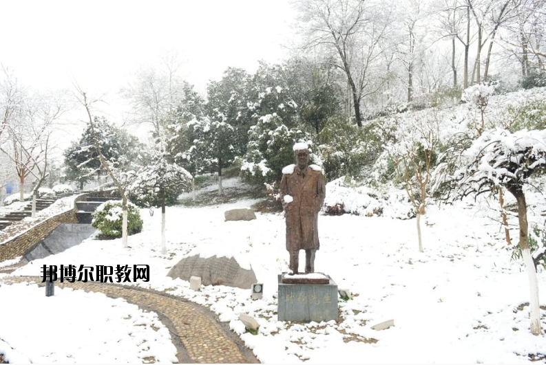 南京工業(yè)大學(xué)2020年報名條件、招生要求、招生對象
