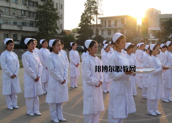 宜昌衛生學校2020年報名條件、招生要求、招生對象