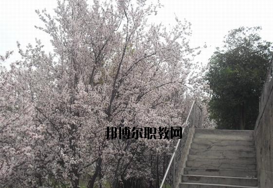 保康職教中心學校網址網站