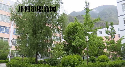 文縣職業(yè)技術(shù)學(xué)校2020年報名條件、招生要求、招生對象