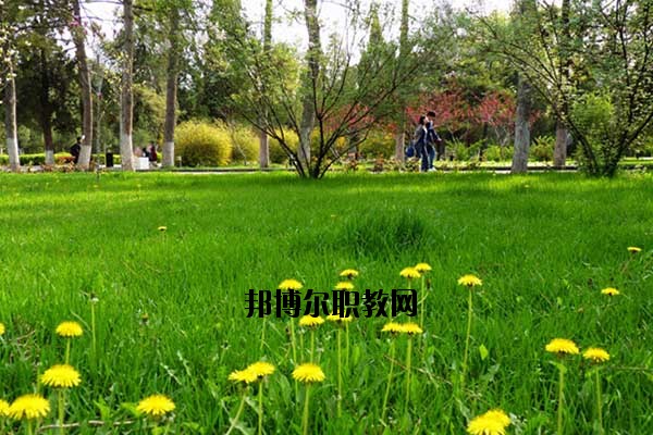 雙江縣職教中心2020年報名條件、招生要求、招生對象