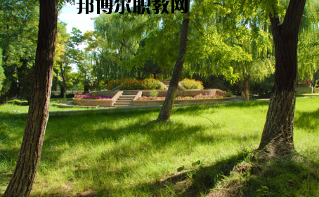 金川公司技工學(xué)校2020年招生錄取分數(shù)線