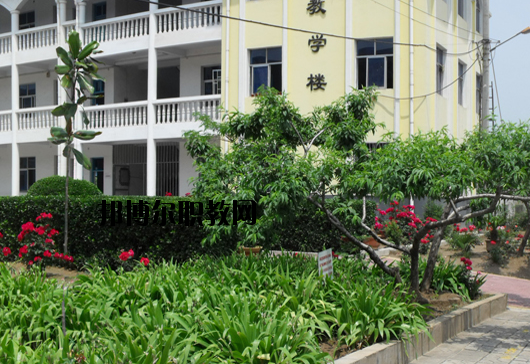 鄭州外資企業(yè)管理中等專業(yè)學校網站網址
