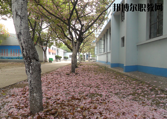 蕪湖商貿工業學校網站網址