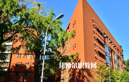 湛江湛港職業技術學校2020年報名條件、招生要求、招生對象