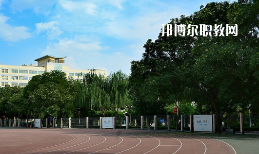湛江湛港職業(yè)技術學校地址在哪里