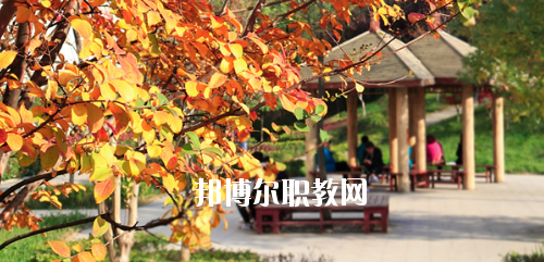 西安鐵道技師學院2020年有哪些專業