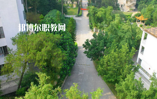 廣東省林業職業技術學校網站網址