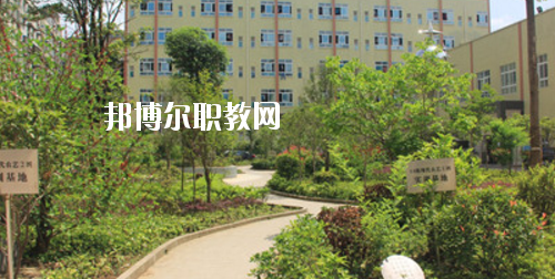 道真中等職業學校怎么樣、好不好