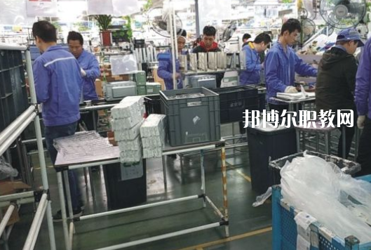 遂溪縣職業技術學校2020年報名條件、招生要求、招生對象