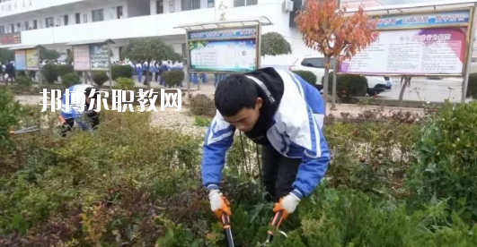 秦安縣古城農(nóng)業(yè)中學(xué)怎么樣、好不好