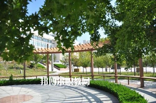 樂山沙灣職業高級中學怎么樣、好不好
