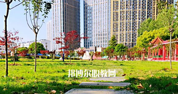 合肥飛躍學校2020年報名條件、招生要求、招生對象 