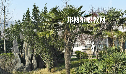 安徽2020年中專有高鐵學校專業嗎