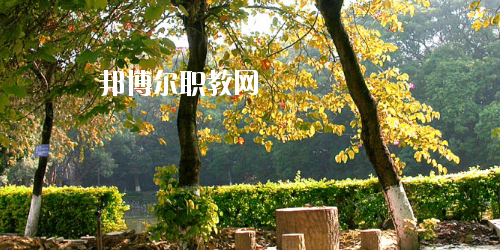 廣西民族中等專業(yè)學校2020年招生辦聯系電話
